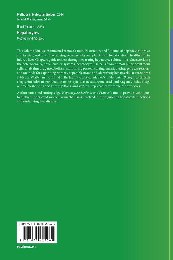 Weitere Ansicht: Hepatocytes