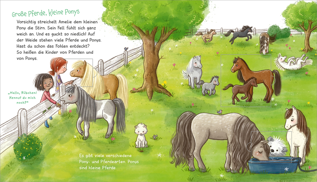 Weitere Ansicht: WAS IST WAS Meine Welt Band 7 Ich mag Ponys! | Andrea Weller-Essers