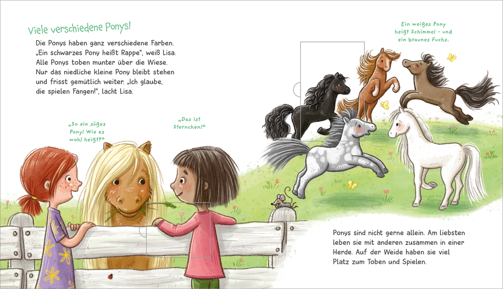 Weitere Ansicht: WAS IST WAS Meine Welt Band 7 Ich mag Ponys! | Andrea Weller-Essers