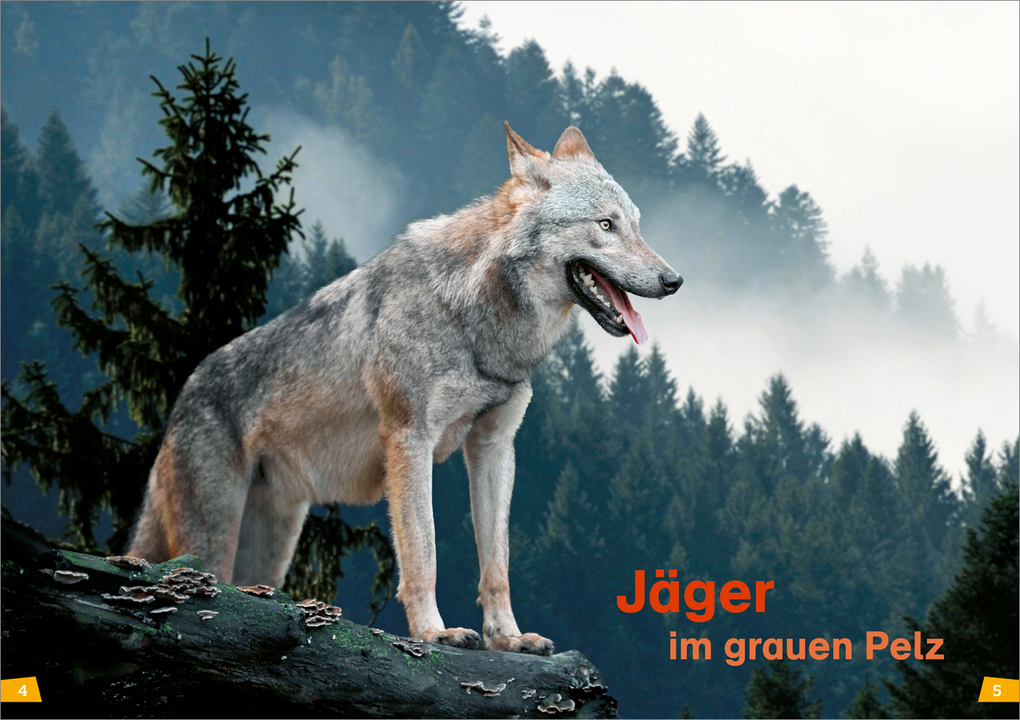 Weitere Ansicht: WAS IST WAS Erstes Lesen Band 20. Wölfe | Christina Braun