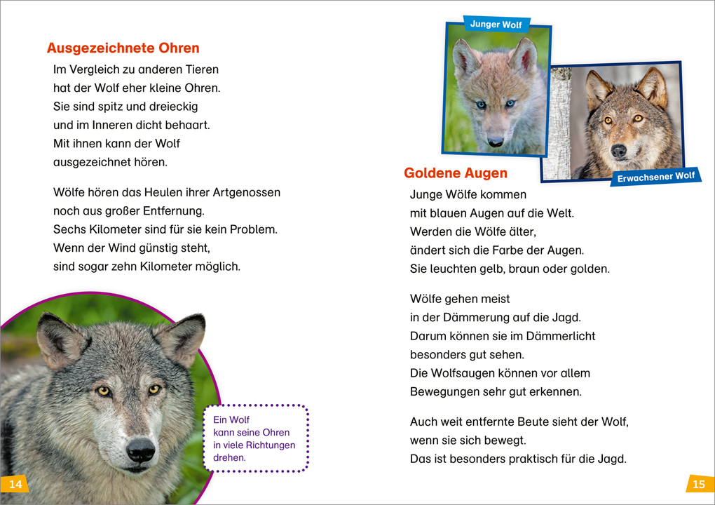 Weitere Ansicht: WAS IST WAS Erstes Lesen Band 20. Wölfe | Christina Braun