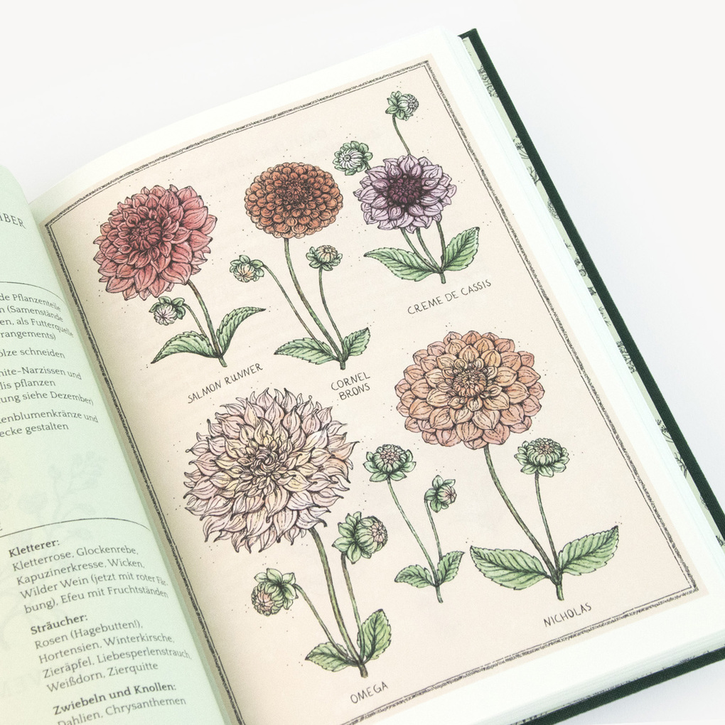 Weitere Ansicht: Flower Notes | Jora Dahl