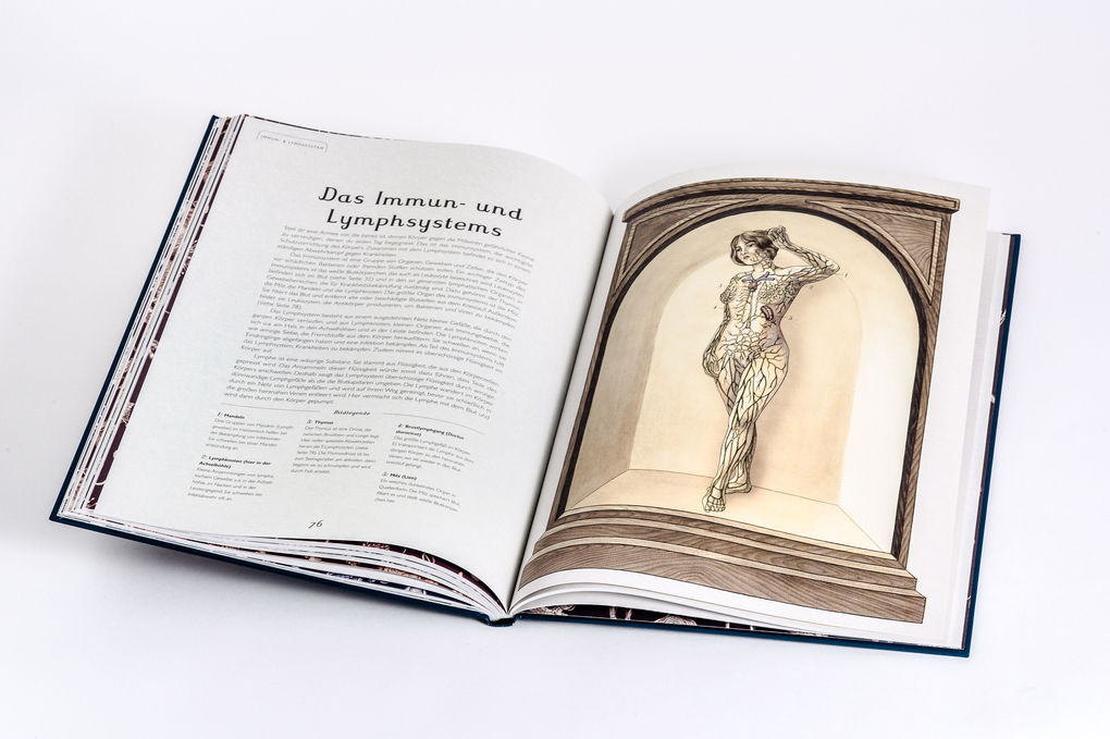 Weitere Ansicht: Das Museum des Körpers | Jennifer Z. Paxton