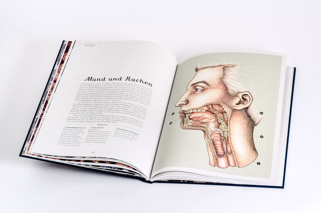 Weitere Ansicht: Das Museum des Körpers | Jennifer Z. Paxton