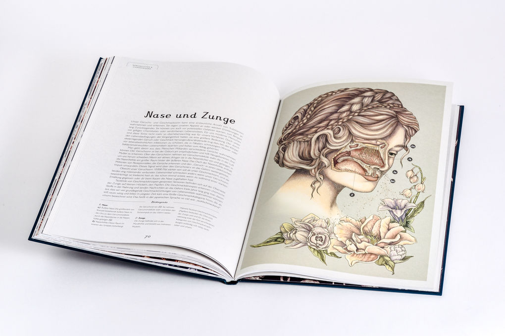 Weitere Ansicht: Das Museum des Körpers | Jennifer Z. Paxton