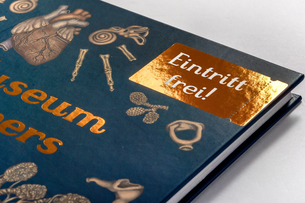 Weitere Ansicht: Das Museum des Körpers | Jennifer Z. Paxton