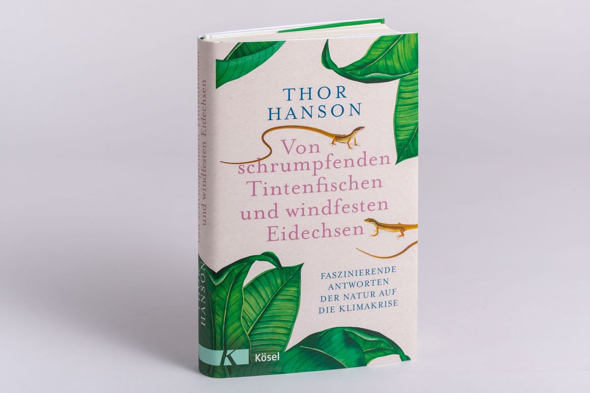 Weitere Ansicht: Von schrumpfenden Tintenfischen und windfesten Eidechsen | Thor Hanson