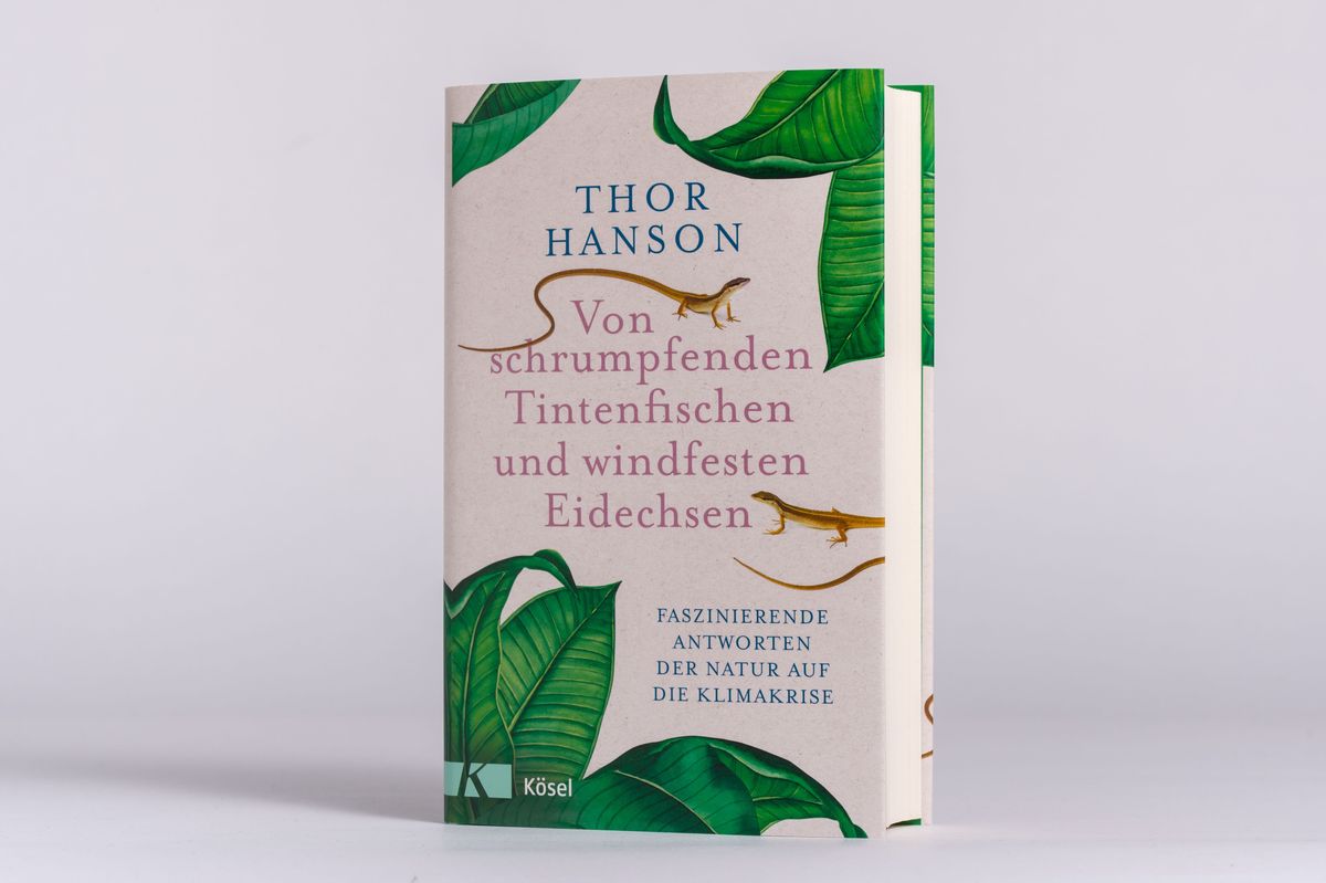 Weitere Ansicht: Von schrumpfenden Tintenfischen und windfesten Eidechsen | Thor Hanson