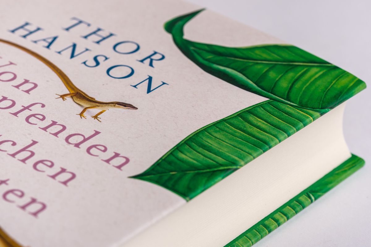 Weitere Ansicht: Von schrumpfenden Tintenfischen und windfesten Eidechsen | Thor Hanson