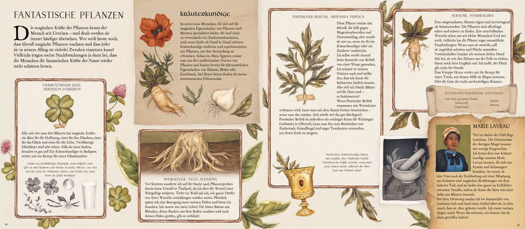 Weitere Ansicht: Das große Handbuch der magischen Künste | Poppy David