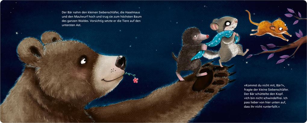 Weitere Ansicht: Der kleine Siebenschläfer 6: Die Geschichte vom kleinen Siebenschläfer, der dem Mond Gute Nacht sagen wollte | Sabine Bohlmann