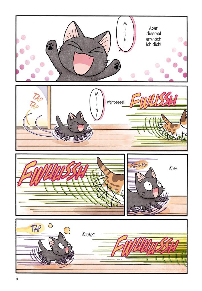 Weitere Ansicht: Kleiner Tai & Omi Sue - Süße Katzenabenteuer 4 | Konami Kanata