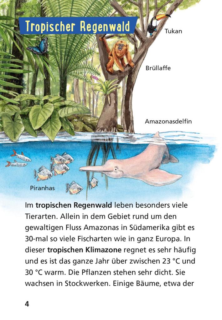 Weitere Ansicht: Pixi Wissen 42: Tiere der Welt | Jürgen Beckhoff