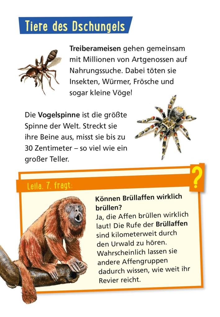 Weitere Ansicht: Pixi Wissen 42: Tiere der Welt | Jürgen Beckhoff