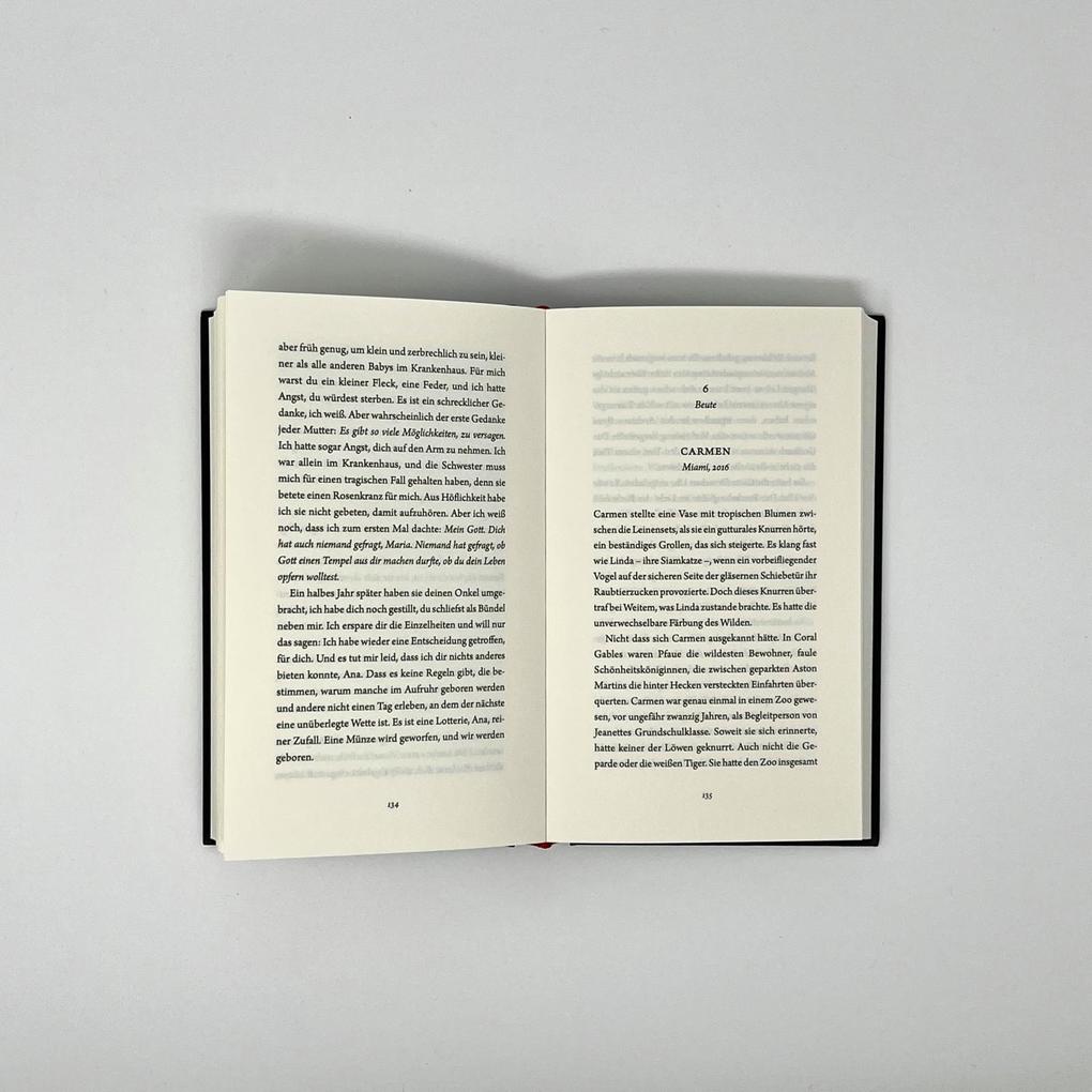 Weitere Ansicht: Von Frauen und Salz | Gabriela Garcia