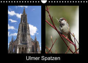 Ulmer Spatzen (Wandkalender 2023 DIN A4 quer)