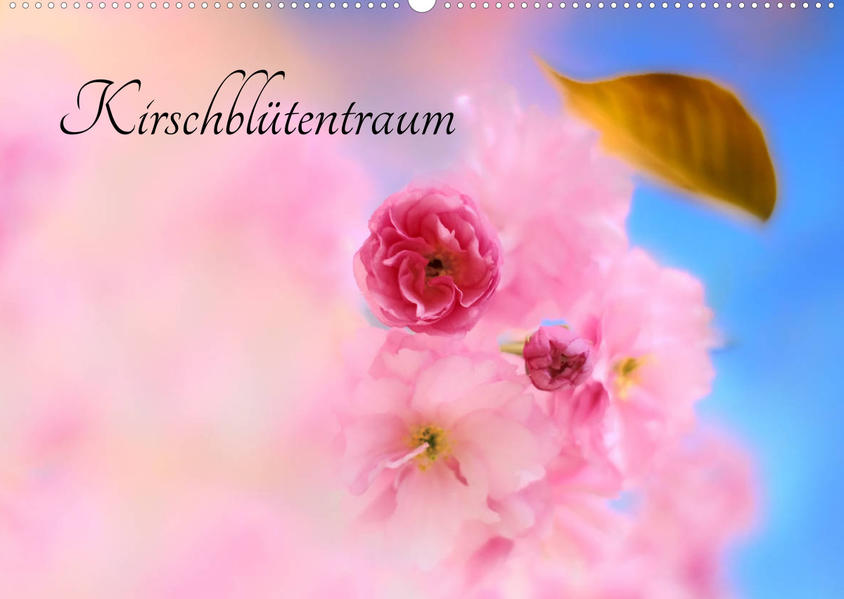 Kirschblütentraum (Wandkalender 2023 DIN A2 quer) als Kalender