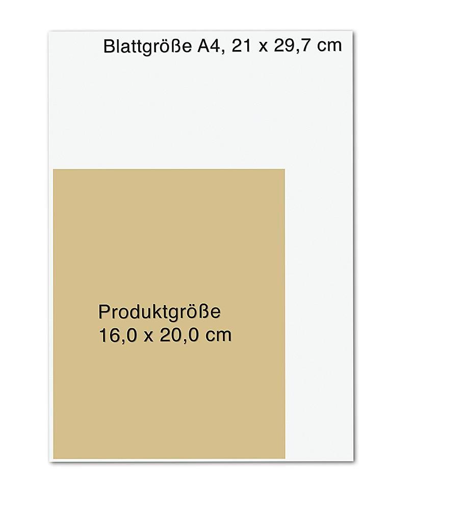 Weitere Ansicht: Das RückenHeilbuch für Frauen | Lucia Schmidt