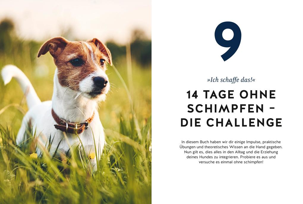 Weitere Ansicht: Hunde erziehen ohne Schimpfen | Alexander Schillack, Johanna Spahr