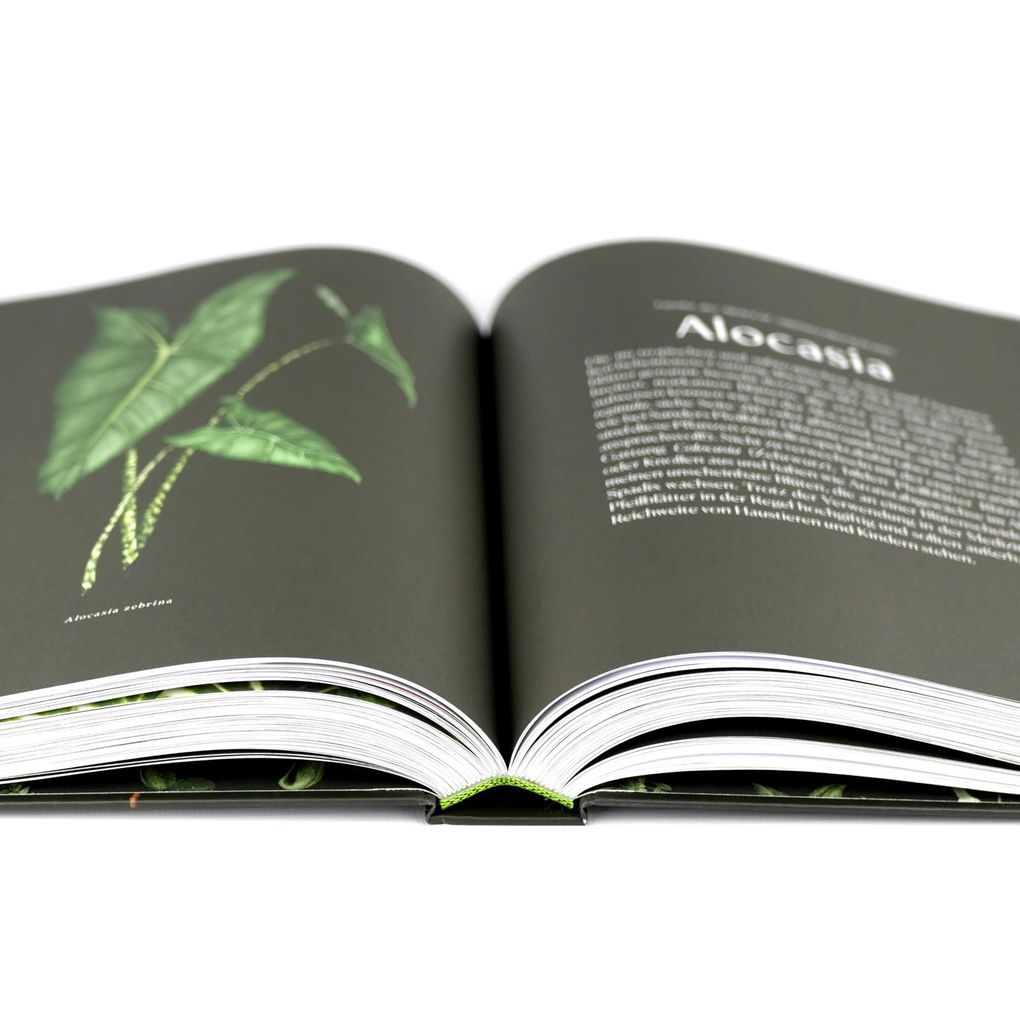 Weitere Ansicht: Plantopedia | Lauren Camilleri, Sophia Kaplan