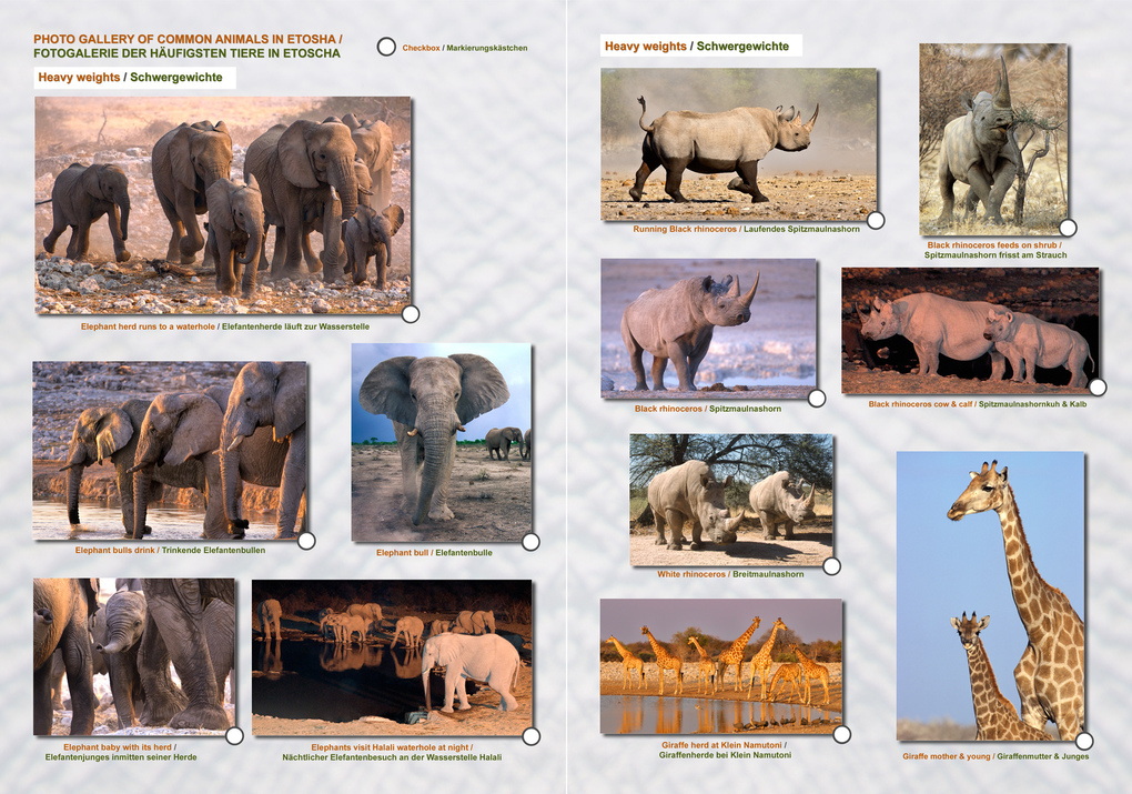 Weitere Ansicht: Das komplette Kartenset NAMIBIA (3-teilig) | Claudia Du Plessis, Wynand Du Plessis