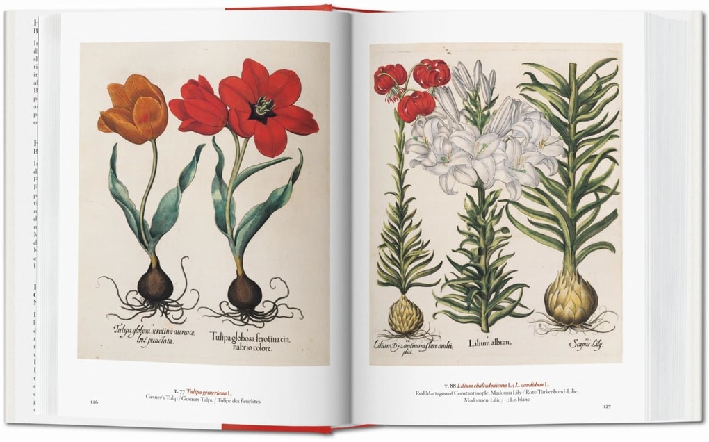 Weitere Ansicht: A Garden Eden. Masterpieces of Botanical Illustration. 40th Ed. | H. Walter Lack