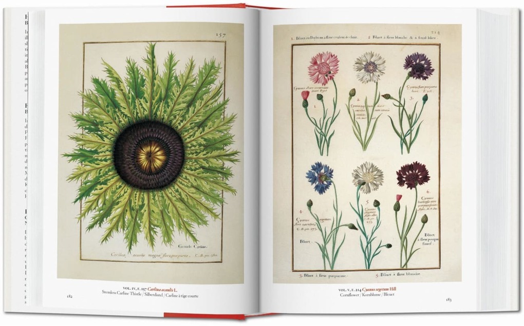 Weitere Ansicht: A Garden Eden. Masterpieces of Botanical Illustration. 40th Ed. | H. Walter Lack