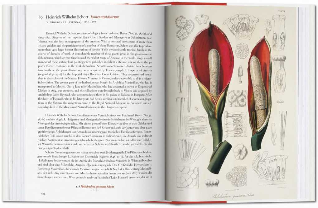 Weitere Ansicht: A Garden Eden. Masterpieces of Botanical Illustration. 40th Ed. | H. Walter Lack