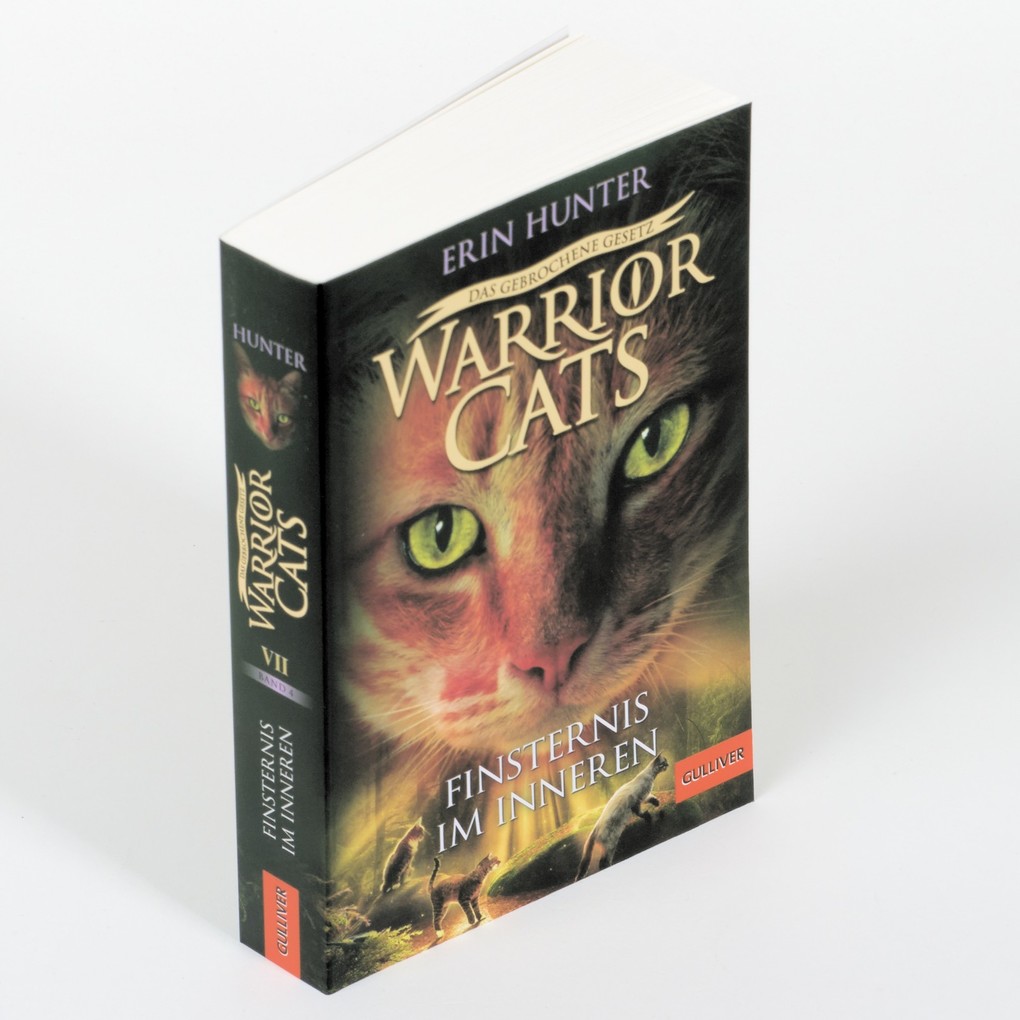 Weitere Ansicht: Warrior Cats - Das gebrochene Gesetz. Finsternis im Inneren | Erin Hunter