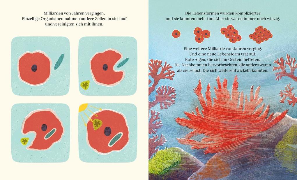 Weitere Ansicht: So entsteht das Meer | Sally Nicholls