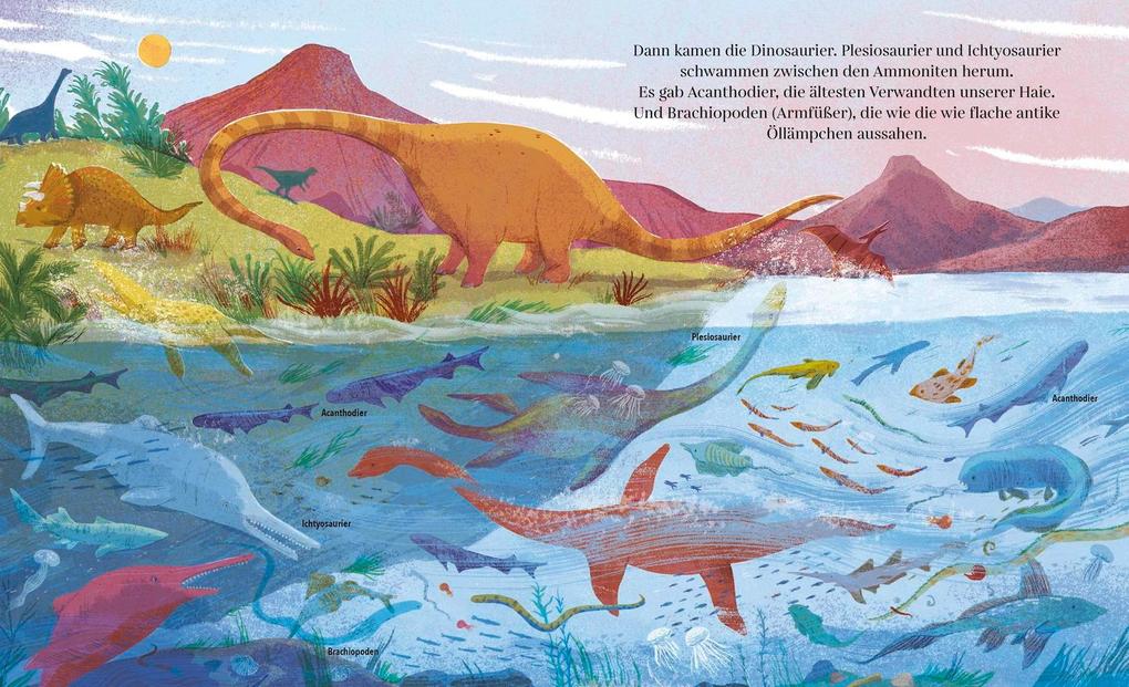 Weitere Ansicht: So entsteht das Meer | Sally Nicholls