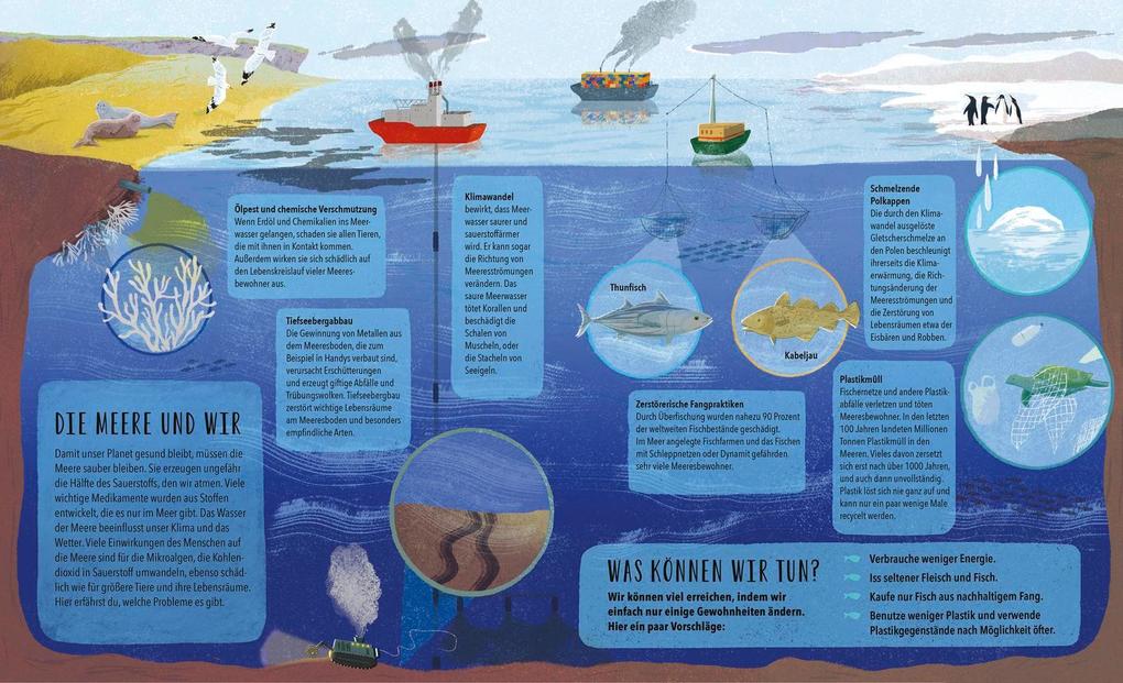Weitere Ansicht: So entsteht das Meer | Sally Nicholls