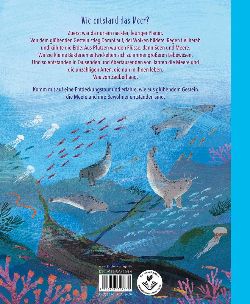 Weitere Ansicht: So entsteht das Meer | Sally Nicholls