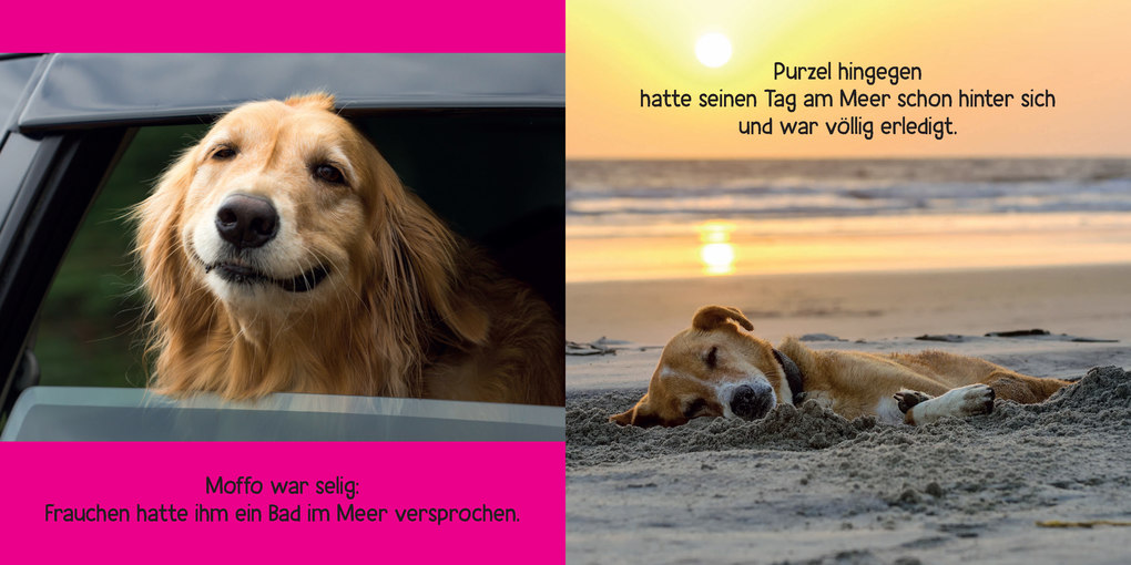 Weitere Ansicht: Mein Hund ist voll bekloppt