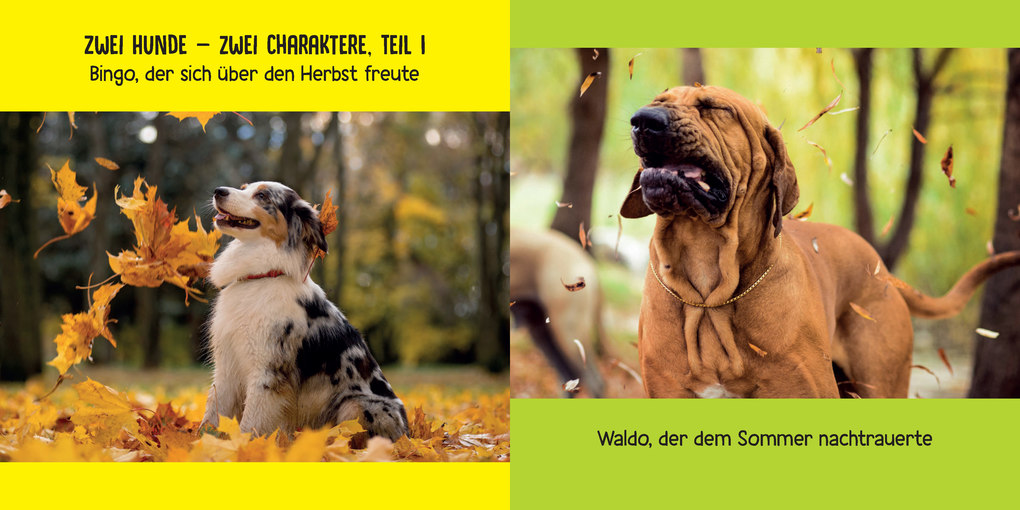 Weitere Ansicht: Mein Hund ist voll bekloppt