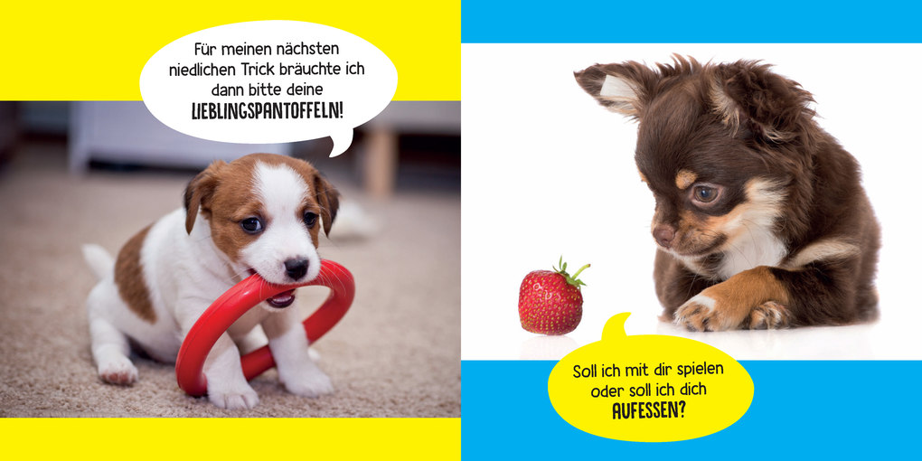 Weitere Ansicht: Mein Hund ist voll bekloppt