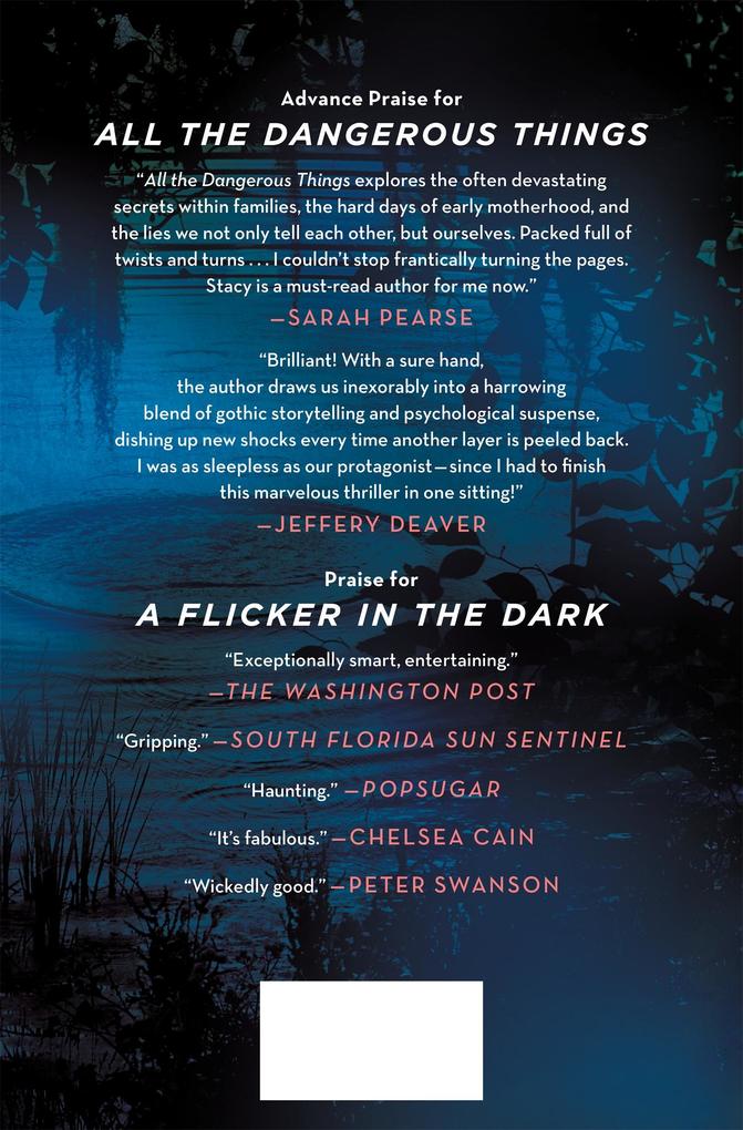 Weitere Ansicht: All the Dangerous Things | Stacy Willingham