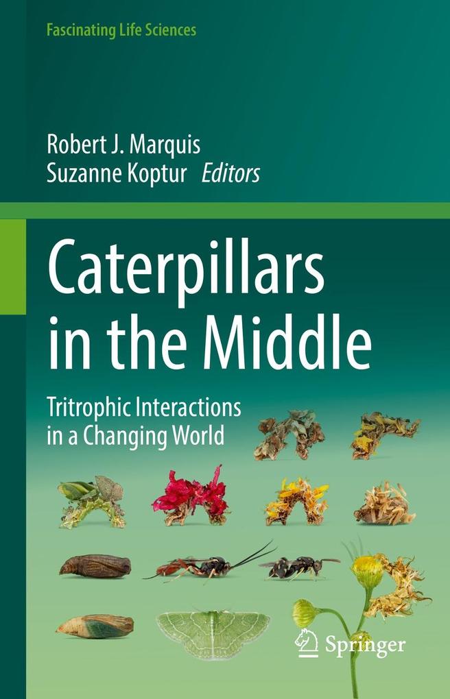 Produktbild: Caterpillars in the Middle