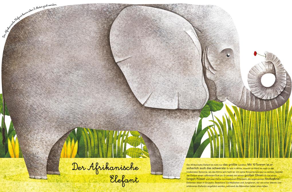 Weitere Ansicht: Das große Buch der riesigen Tiere. Das kleine Buch der winzigen Tiere | Cristina Banfi, Christina Peraboni