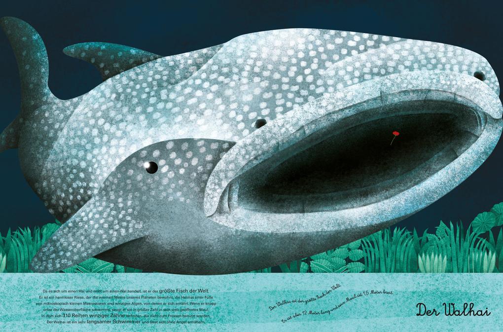 Weitere Ansicht: Das große Buch der riesigen Tiere. Das kleine Buch der winzigen Tiere | Cristina Banfi, Christina Peraboni