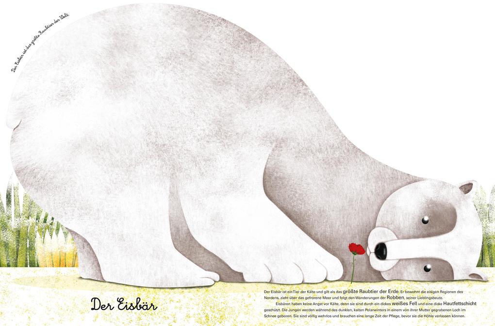 Weitere Ansicht: Das große Buch der riesigen Tiere. Das kleine Buch der winzigen Tiere | Cristina Banfi, Christina Peraboni
