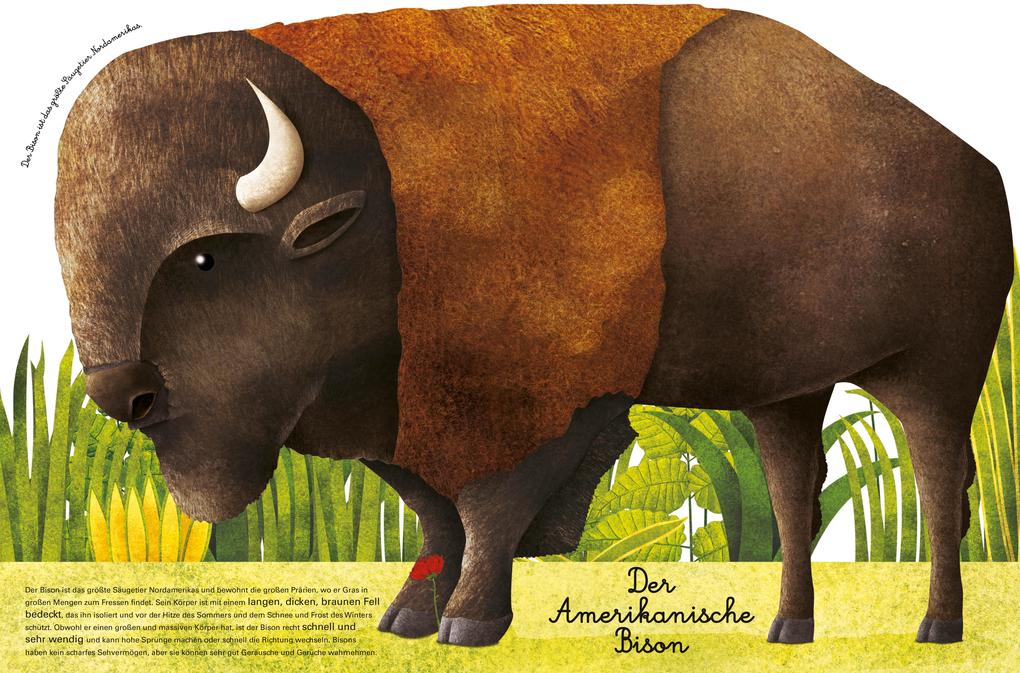 Weitere Ansicht: Das große Buch der riesigen Tiere. Das kleine Buch der winzigen Tiere | Cristina Banfi, Christina Peraboni
