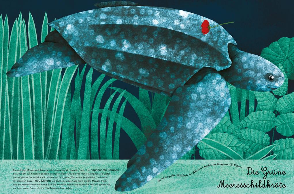 Weitere Ansicht: Das große Buch der riesigen Tiere. Das kleine Buch der winzigen Tiere | Cristina Banfi, Christina Peraboni