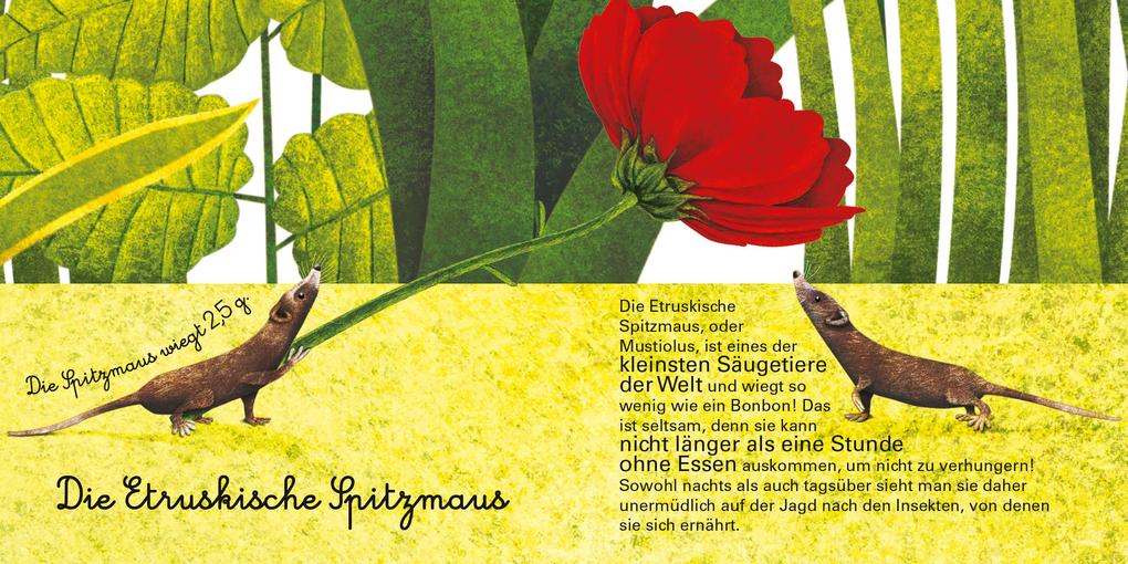 Weitere Ansicht: Das große Buch der riesigen Tiere. Das kleine Buch der winzigen Tiere | Cristina Banfi, Christina Peraboni