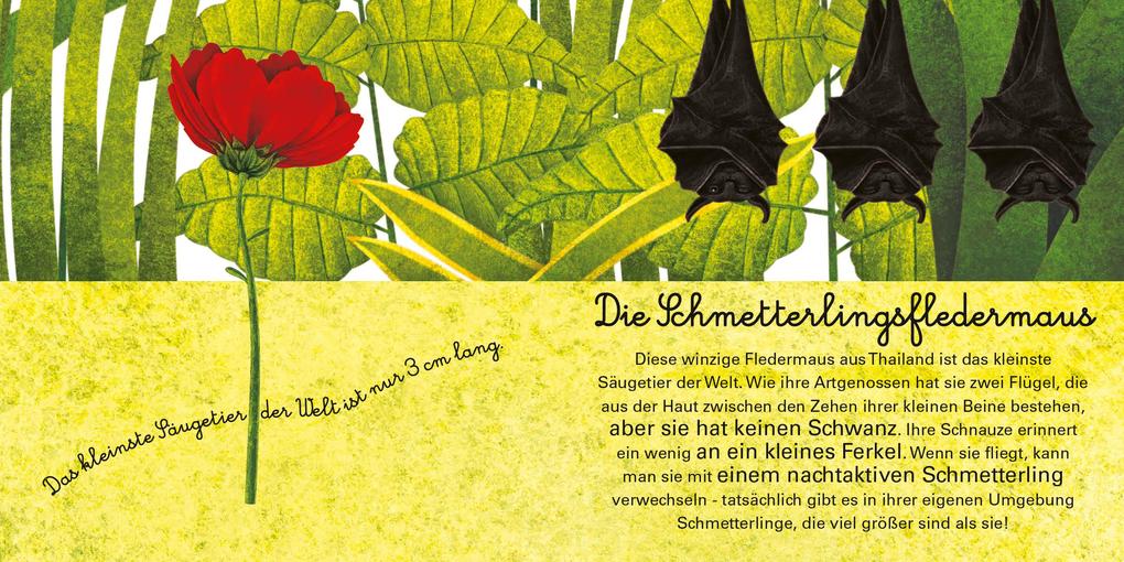 Weitere Ansicht: Das große Buch der riesigen Tiere. Das kleine Buch der winzigen Tiere | Cristina Banfi, Christina Peraboni