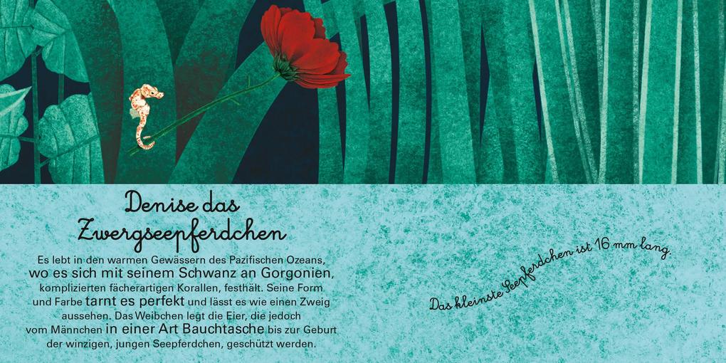 Weitere Ansicht: Das große Buch der riesigen Tiere. Das kleine Buch der winzigen Tiere | Cristina Banfi, Christina Peraboni