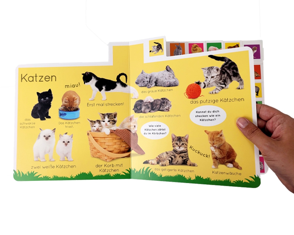 Weitere Ansicht: Erstes Lernen. Tierkinder | DK Erstes Lernen