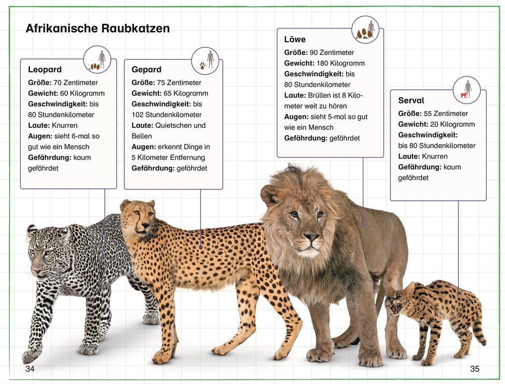 Weitere Ansicht: SUPERLESER! Annas Safari-Tagebuch | Deborah Lock