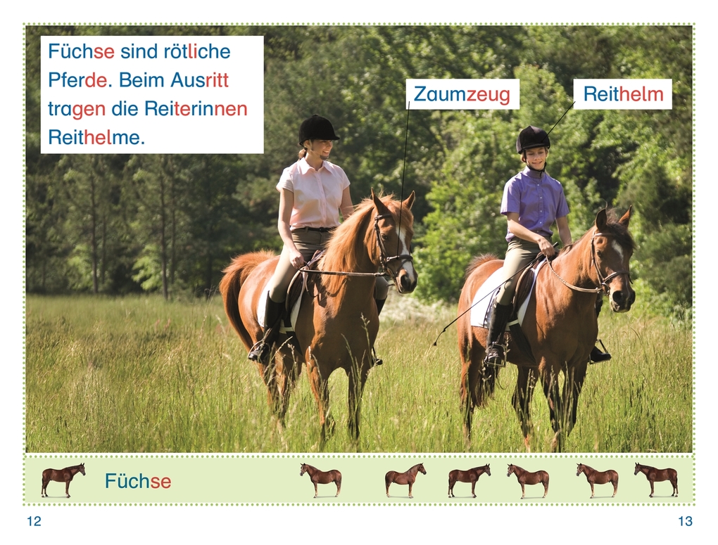 Weitere Ansicht: SUPERLESER! Sophie bei den Pferden | Fiona Lock