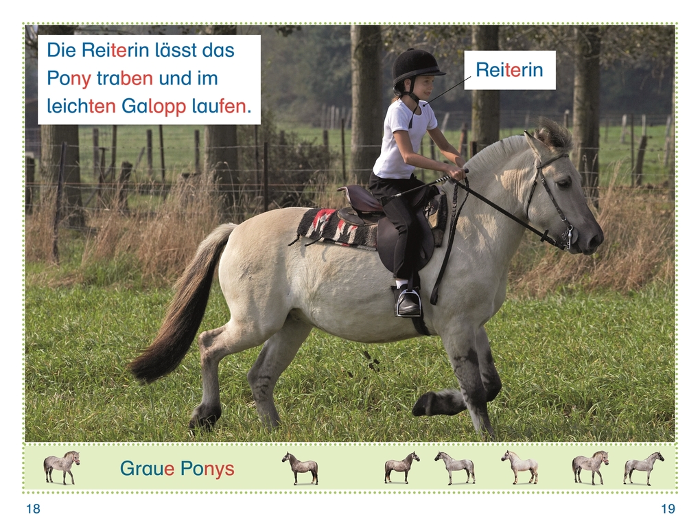 Weitere Ansicht: SUPERLESER! Sophie bei den Pferden | Fiona Lock